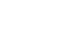 Wojciech Lewicki Schody logo